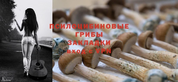 соль курить ск Алексеевка