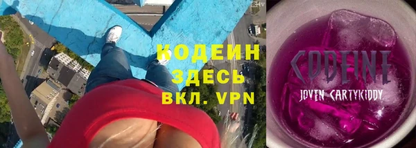 дмт Ельня