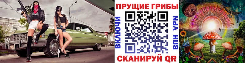 ОМГ ОМГ ссылка  Сочи  Галлюциногенные грибы мицелий  купить наркоту 